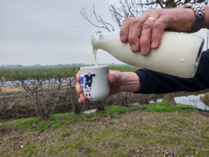 Wilde Melk